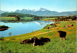 27-5-2024 (6 Z 16) Switzerland - Lac De Gruyères - Moléson - Gruyères