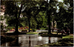 27-5-2024 (6 Z 18) Germany (park & Swan) City Of Offenburg - Offenburg