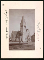 Fotografie Brück & Sohn Meissen, Ansicht Torgau A. Elbe, Blick Auf Die Katholische Kirche  - Lieux