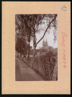 Fotografie Brück & Sohn Meissen, Ansicht Oschatz, Partie Mit Birken Und Blick Auf Die Stadtkirche  - Lieux