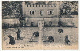 Delcampe - CPA - SUISSE - BERN - Der Bärengraben / BERNE, La Fosse Aux Ours. - Grindelwald