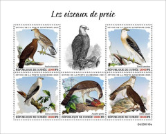 Guinea 2023 Birds Birds Of Prey S202404 - Guinea (1958-...)