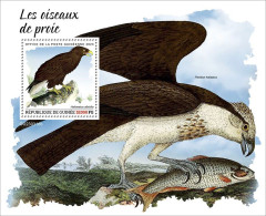 Guinea 2023 Birds Birds Of Prey S202404 - Guinée (1958-...)