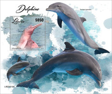 Liberia 2023 Marine Life Fish Dolphins S202404 - Liberia