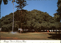 71445004 Lahaina Banyan Tree Alte Baeume - Autres & Non Classés