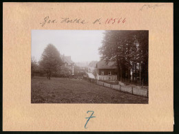 Fotografie Brück & Sohn Meissen, Ansicht Hartha I. Sa., Blick In Eine Strasse  - Orte