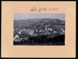 Fotografie Brück & Sohn Meissen, Ansicht Sebnitz, Blick über Die Stadt  - Orte