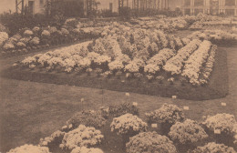 GENT FLORALIES GANTOISES DE 1928 - Gent