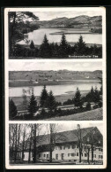 AK Niedersonthofen, Seeblick, Gasthaus Zur Insel  - Andere & Zonder Classificatie