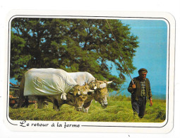 EN PARCOURANT NOS CAMPAGNES - Le Retour à La Ferme - TOUL 7 - - Landbouwers