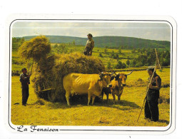 EN PARCOURANT NOS CAMPAGNES - La Fenaison -  TOUL 7 - - Paesani