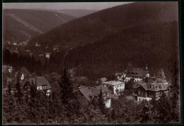 Fotografie Brück & Sohn Meissen, Ansicht Bärenfels I. Erzg., Blick Auf Den Ort Mit Villen  - Lieux