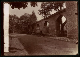 Fotografie Brück & Sohn Meissen, Ansicht Blankenburg / Harz, Kloster Michaelstein Mit 1000 Jährigem Klosterbogen  - Lieux