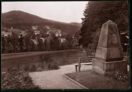 Fotografie Brück & Sohn Meissen, Ansicht Bärenfels I. Erzg., Partie Am Kriegerdenkmal Mit Blick Auf Den Ort  - Lieux