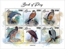 Liberia 2023 Birds Birds Of Prey S202404 - Liberia
