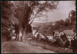 Fotografie Brück & Sohn Meissen, Ansicht Liebstadt I. Sa., Partie Am Wald Mit Blick Zum Ort  - Lieux