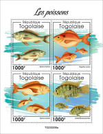 Togo 2023 Marine Life Fish S202404 - Togo (1960-...)