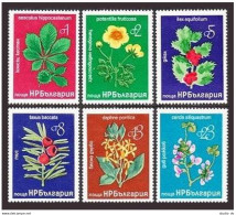 Bulgaria 2369-2374, MNH. Mi 2540-2545. Flowers 1976. Chestnut, Finquefoil, Holly - Unused Stamps