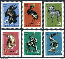 Bulgaria 1689-1694,MNH.Sofia ZOO-80.Vulture,Crane,Zebra,Cheetah,Python,Crocodile - Unused Stamps