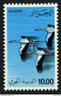 Algeria C19,MNH.Michel 738. Air Post,Birds 1979:Storks. - Argelia (1962-...)