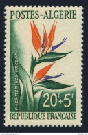 Algeria B95, MNH. Michel 376. Bird-of-Paradise Flower, 1958. - Algeria (1962-...)