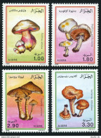 Algeria 908-911, MNH. Michel 1010-1013. Mushrooms, 1989. - Argelia (1962-...)