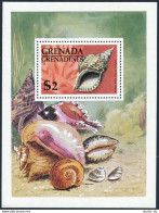 Grenada Gren 144, MNH. Michel Bl.15. Sea Shells 1966. Atlantic Triton. - Grenade (1974-...)