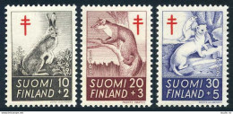 Finland B163-B165, MNH. Michel 551-553. Hare, Pine Marten, Ermine. 1962. - Nuevos