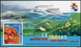 Hong Kong 916, MNH. HONG KONG-2001. Coral Platygyra, Dolphins. - Neufs