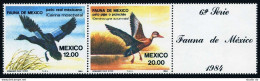 Mexico 1346-1347 Strip/label,MNH.Michel 1893-1894. Aquatic Birds 1984.Cairina - Mexico