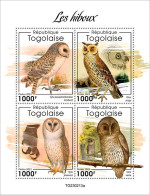 Togo 2023 Birds Owls S202404 - Togo (1960-...)