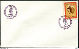 Macao 485a, FDC. Michel 513C. Lunar Year Of The Rat. 1984. - FDC