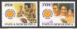 Papua New Guinea 733-734, MNH. Michel 614-615. National Census, 1990. - República De Guinea (1958-...)