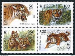 Russia 6178-6181a Block,6181b Sheet,MNH.Michel 343-346. WWF 1993:Panthera Tigris - Nuevos