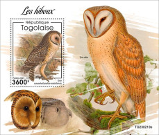 Togo 2023 Birds Owls S202404 - Togo (1960-...)