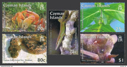 Cayman 1020-1024,1025,MNH. Darwin Institute,2008.Land Crab,Needlecase,Anole,Boa, - Caimán (Islas)