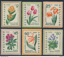 Bulgaria 1107-1112, MNH. Mi 1164-1169. Flowers 1960: Yellow Gentian, Tulips,Lily - Ongebruikt