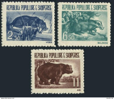 Albania 589-591,MNH.Michel 627-629. Animals 1961.Otter,Badger,Bear. - Albanie