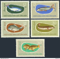 Viet Nam 263-267, MNH. Michel 270-274. Fish, 1963. - Viêt-Nam