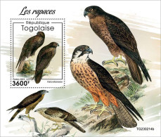 Togo 2023 Birds Birds Of Prey S202404 - Togo (1960-...)