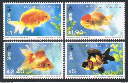 Hong Kong 684-687, 687a Sheet, MNH. Michel 705-708, Bl.29. Goldfish 1993. - Ongebruikt