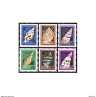 Guinea 1999 Year,6 Stamps,souvenir Sheet,MNH. Shells. - Guinée (1958-...)