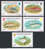 Guernsey 308-312, MNH. Mi 314-318. Fish 1985. Red Gurnard, Cuckoo Wrasse,Mullet, - Guernsey