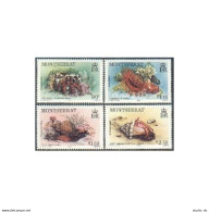 Montserrat 543-546, MNH. Mi 557-560. Marine Life 1984. Shells, Crab,Snail,Conch. - Montserrat