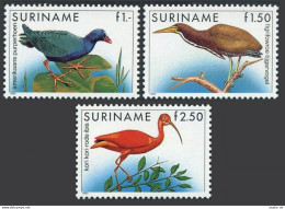 Surinam 725-727, MNH. Mi 1146-1148. Birds 1985. Purple Fowl, Tiger Bird,Red Ibis - Suriname