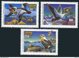 Russia 6155-6157,6157a Sheet,MNH.Michel 320-322,klb. Ducks 1993:Somateria, - Ongebruikt