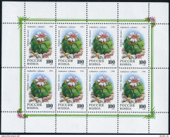 Russia 6196-6200,6197a,6198a,MNH.Michel 364-368,364-65 Klb.Flowering Cactus 1994 - Unused Stamps