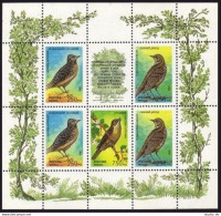 Russia 6268a,6268b Sheets, MNH. Michel 440-444 Two Klb. Songbirds 1995. Luscinia - Neufs