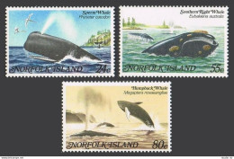Norfolk 290-292,MNH.Michel 286-288. Whales 1982.Sperm,Southern Right,Humpback. - Isola Norfolk