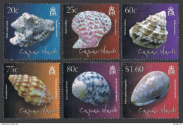 Cayman 1058-1063,1064,MNH. Shells 2010. Hawk-wing Conch,Ornate Scallop,Chestnut, - Caimán (Islas)